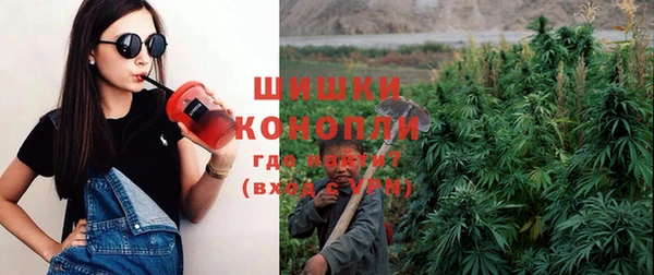 амф Горно-Алтайск