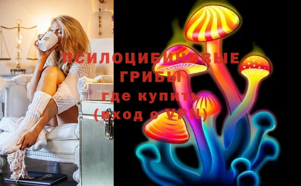 ALPHA PVP Горняк