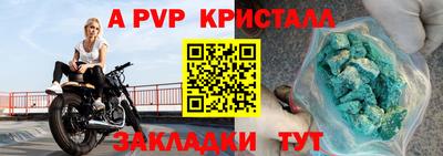 шишки Тверь