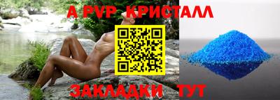 шишки Тверь