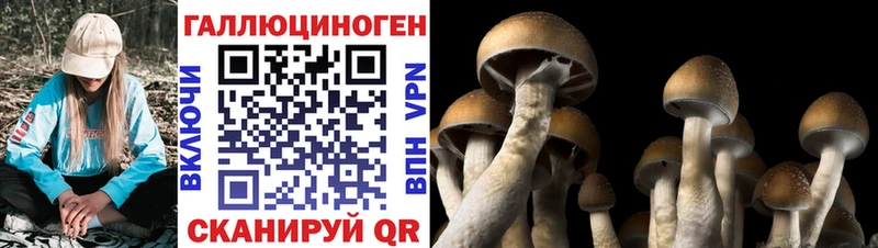 ОМГ ОМГ рабочий сайт  Невинномысск  Псилоцибиновые грибы MAGIC MUSHROOMS 